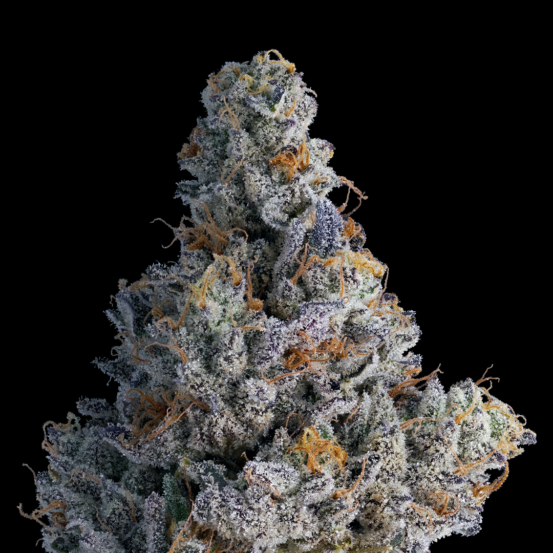 Kush Mints